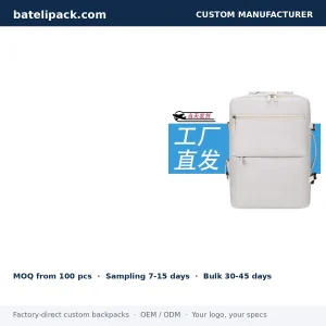 Business Backpack with Large Capacity, Travel Use, School Use — Custom Logo & OEM