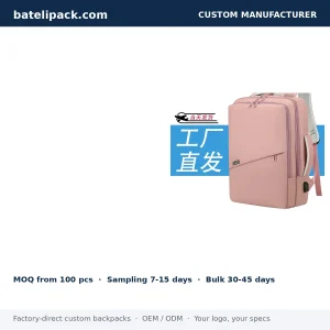 Business Backpack with Large Capacity, Separate Compartments, Student Use — Custom Logo & OEM