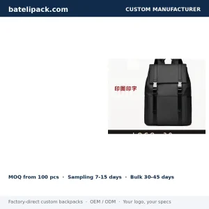 Business Backpack with Padded Laptop Compartment, Student Use, School Use — Custom Logo & OEM