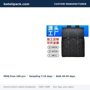 Business Backpack with Large Capacity, Padded Laptop Compartment, Travel Use — Custom Logo & OEM