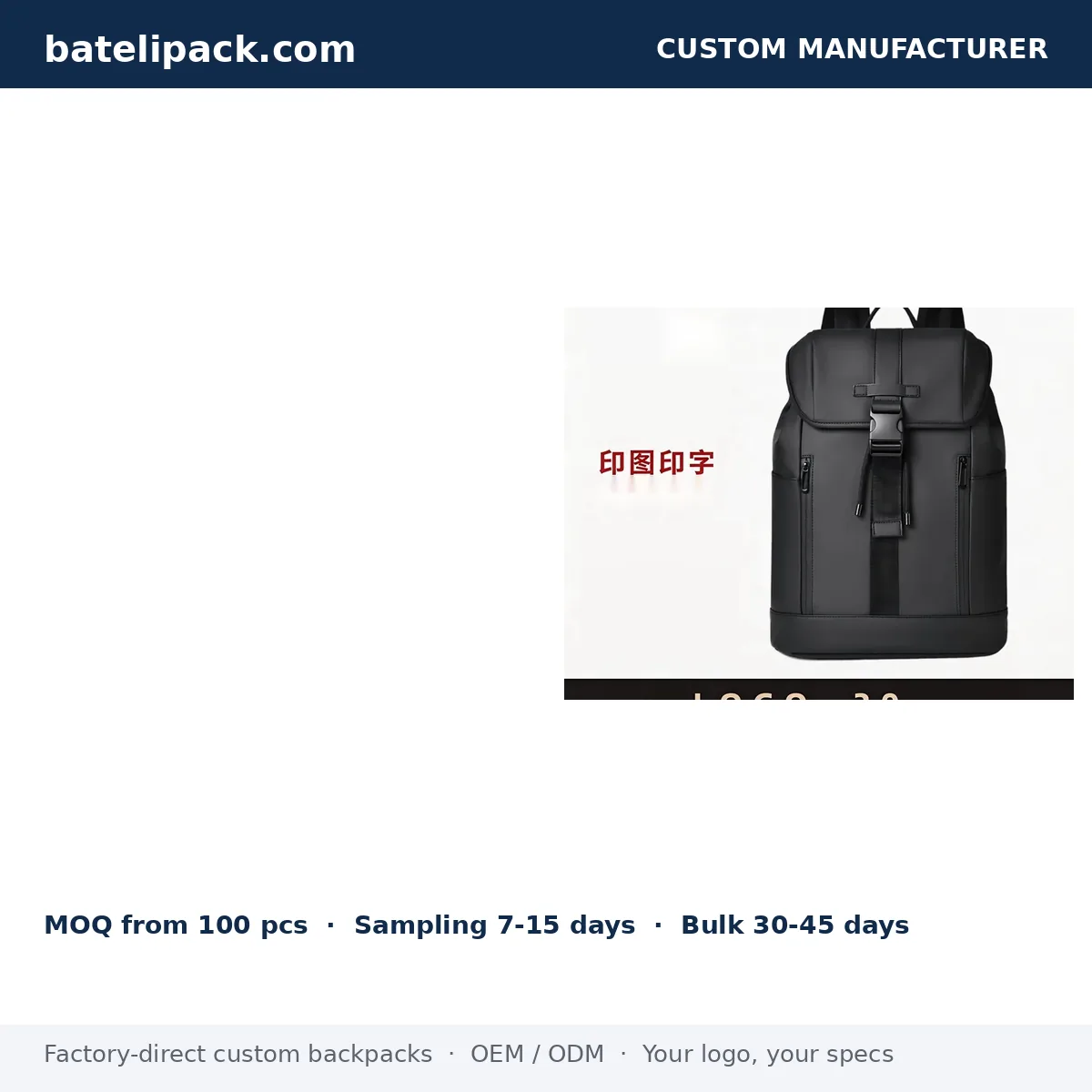Business Backpack with Padded Laptop Compartment, Custom Logo, Outdoor Use — Custom Logo & OEM