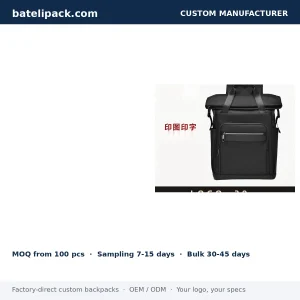 Business Backpack with Large Capacity, Padded Laptop Compartment, Outdoor Use — Custom Logo & OEM