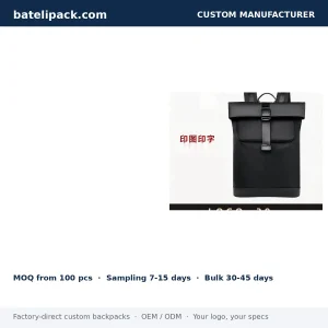 Business Backpack with Large Capacity, Padded Laptop Compartment, Travel Use — Custom Logo & OEM