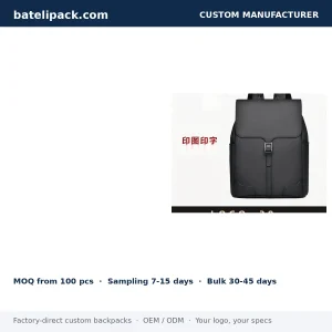 Business Backpack with Large Capacity, Padded Laptop Compartment — Custom Logo & OEM