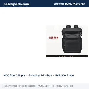 Business Backpack with Large Capacity, Padded Laptop Compartment, Lightweight — Custom Logo & OEM