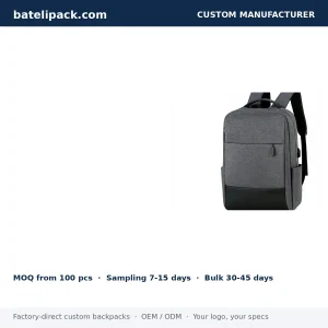 Business Backpack with Large Capacity, Padded Laptop Compartment, Travel Use — Custom Logo & OEM