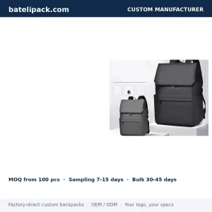 Business Backpack with Water-Resistant, Large Capacity, Padded Laptop Compartment — Custom Logo & OEM