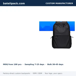 School Backpack with Large Capacity, Travel Use — Custom Logo & OEM