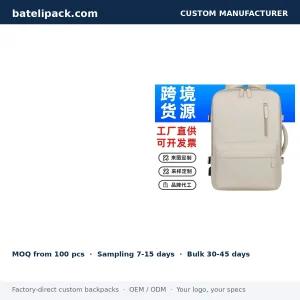 Business Backpack with Large Capacity, Padded Laptop Compartment, Travel Use — Custom Logo & OEM