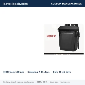 Business Backpack with Large Capacity, Padded Laptop Compartment, Travel Use — Custom Logo & OEM