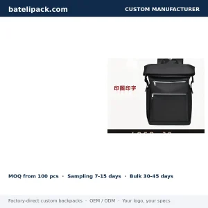 Business Backpack with Large Capacity, Travel Use — Custom Logo & OEM