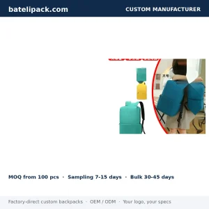 School Backpack with Lightweight — Custom Logo & OEM