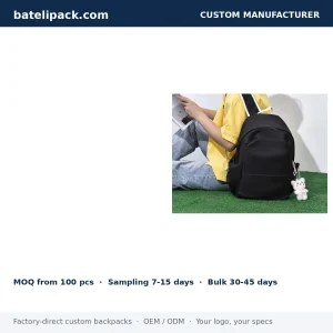 School Backpack with Large Capacity, Custom Logo — Custom Logo & OEM