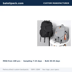 Business Backpack with Large Capacity, Padded Laptop Compartment, Custom Logo — Custom Logo & OEM