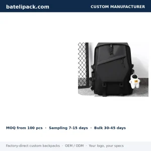 School Backpack with Large Capacity, Custom Logo — Custom Logo & OEM
