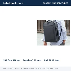 Business Backpack with Large Capacity — Custom Logo & OEM
