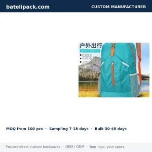 Travel Daypack with Water-Repellent, Large Capacity, Outdoor Use — Custom Logo & OEM
