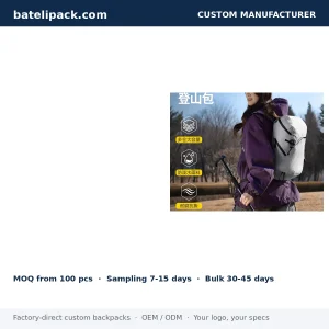 Business Backpack with Water-Repellent, Large Capacity, Lightweight — Custom Logo & OEM