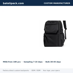 Business Backpack with Large Capacity, Padded Laptop Compartment, Custom Logo — Custom Logo & OEM