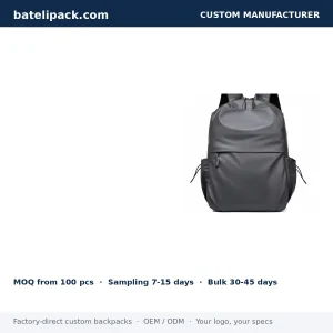 Business Backpack with Large Capacity, Padded Laptop Compartment, Travel Use — Custom Logo & OEM