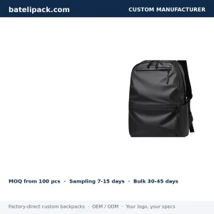 Business Backpack with Large Capacity, Padded Laptop Compartment — Custom Logo & OEM