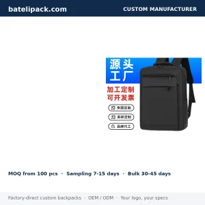 Business Backpack with Large Capacity, Padded Laptop Compartment, Student Use — Custom Logo & OEM