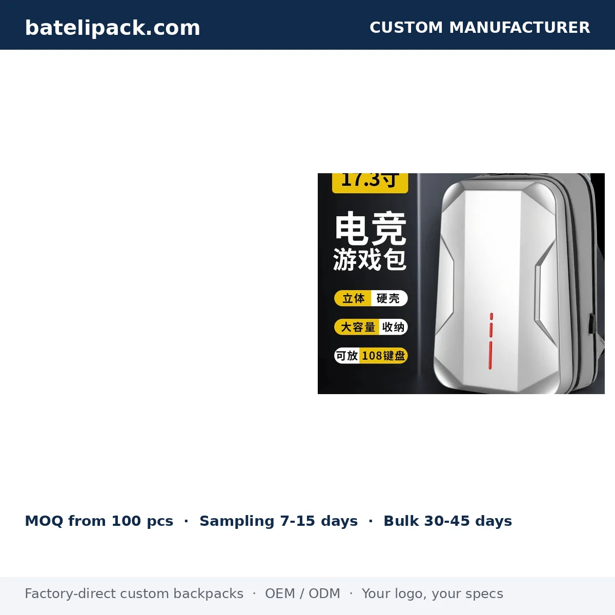 Business Backpack with Padded Laptop Compartment, Travel Use, School Use — Custom Logo & OEM