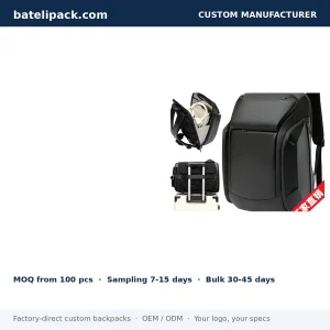 Business Backpack with Large Capacity — Custom Logo & OEM