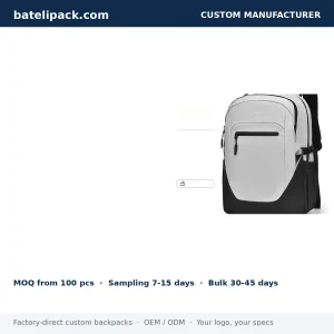 Business Backpack with Large Capacity, Padded Laptop Compartment, Travel Use — Custom Logo & OEM