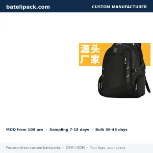 Business Backpack with Water-Resistant, Large Capacity, Padded Laptop Compartment — Custom Logo & OEM