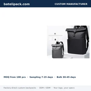 Business Backpack with Large Capacity, Padded Laptop Compartment, Outdoor Use — Custom Logo & OEM