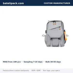 Business Backpack with Large Capacity, Padded Laptop Compartment, Sport Use — Custom Logo & OEM