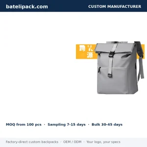 Business Backpack with Large Capacity, Padded Laptop Compartment, Outdoor Use — Custom Logo & OEM