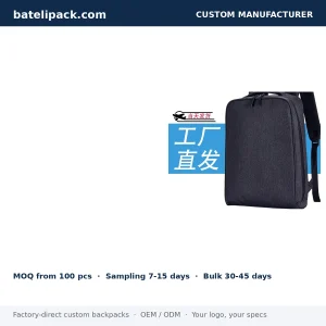 Business Backpack with Padded Laptop Compartment, School Use — Custom Logo & OEM