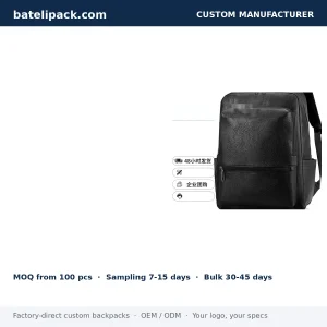 Business Backpack with Large Capacity, Padded Laptop Compartment, Outdoor Use — Custom Logo & OEM
