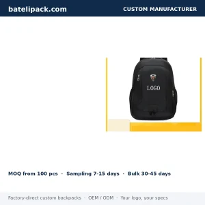 Business Backpack with Large Capacity, Travel Use — Custom Logo & OEM