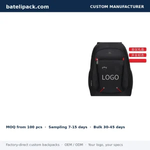 Business Backpack with Large Capacity, Abrasion-Resistant Fabric, School Use — Custom Logo & OEM