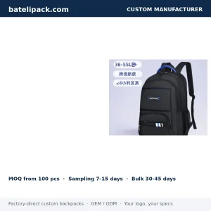 Business Backpack with Large Capacity, Abrasion-Resistant Fabric, Outdoor Use — Custom Logo & OEM
