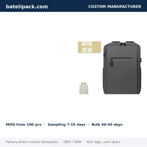 Business Backpack with Large Capacity, Padded Laptop Compartment, Outdoor Use — Custom Logo & OEM