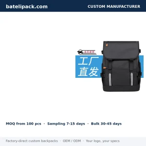 Business Backpack with Large Capacity, Padded Laptop Compartment, Student Use — Custom Logo & OEM