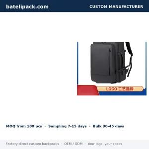Business Backpack with Large Capacity, Padded Laptop Compartment — Custom Logo & OEM