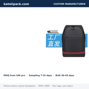 Business Backpack with Large Capacity, Padded Laptop Compartment — Custom Logo & OEM