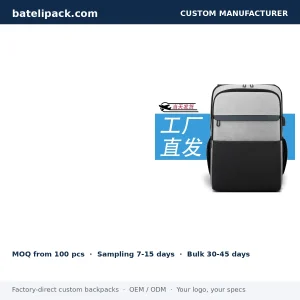 Business Backpack with Large Capacity, Padded Laptop Compartment — Custom Logo & OEM