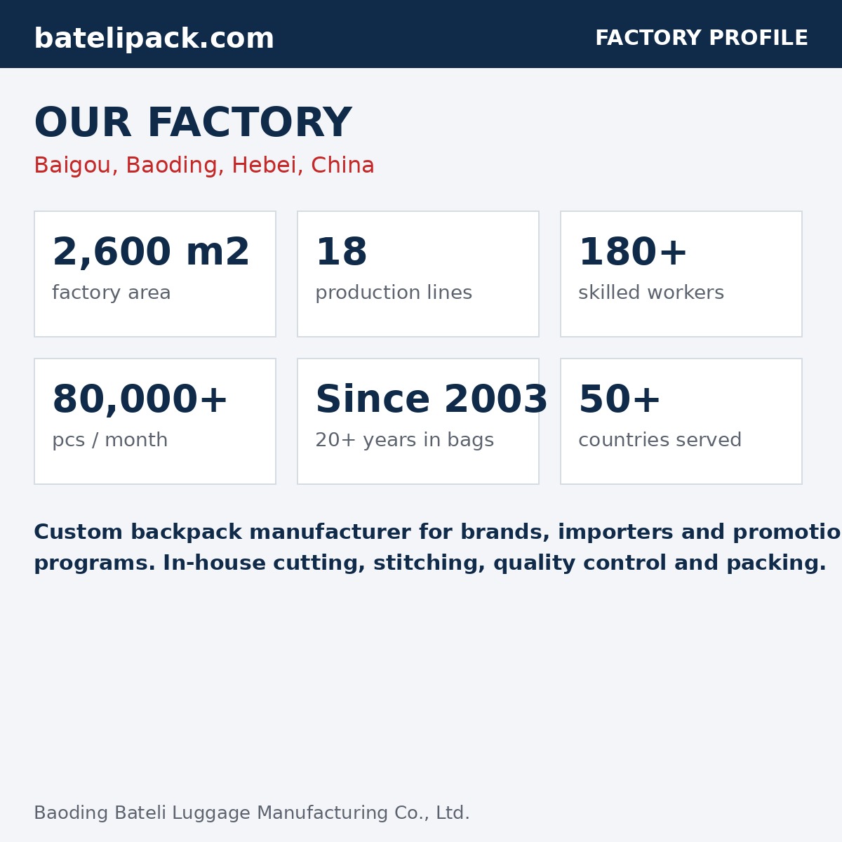 Business Backpack with Water-Resistant, Large Capacity, Padded Laptop Compartment — Custom Logo & OEM