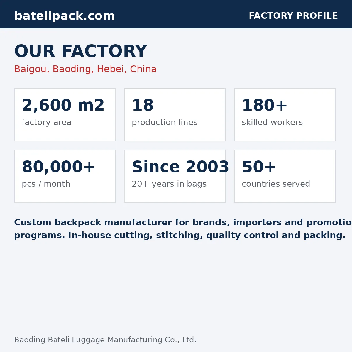 Business Backpack with Large Capacity, Padded Laptop Compartment, Separate Compartments — Custom Logo & OEM