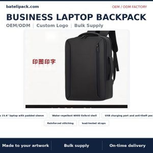 Business Laptop Backpack — Style 011